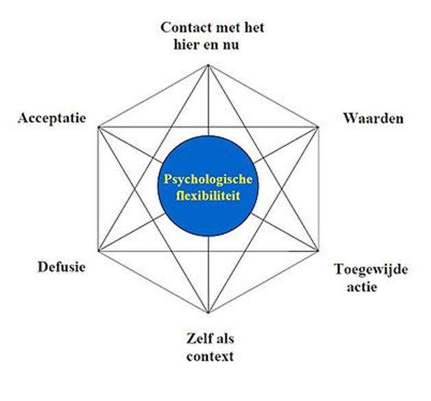 Hexaflex